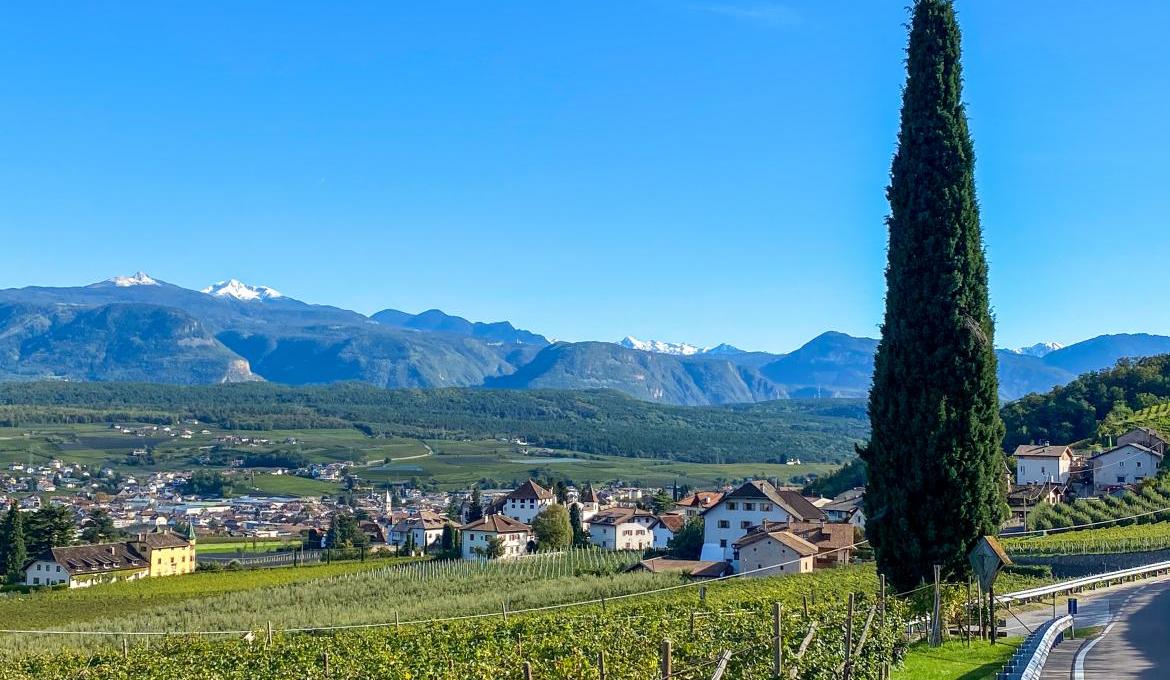 La Strada del Vino dell'Alto Adige