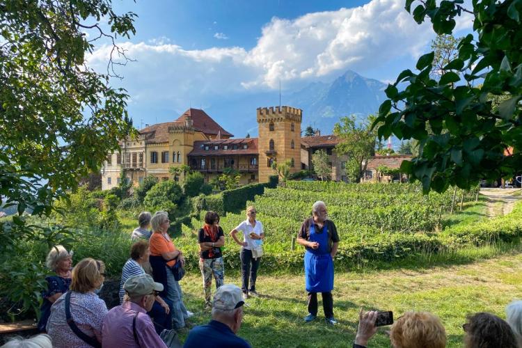 Weinverkostung Schloss Rametz