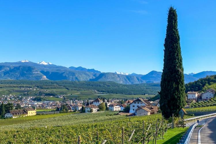 La Strada del Vino dell'Alto Adige