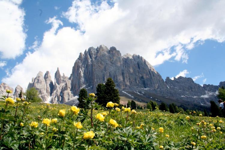 Dolomiten Rosengarten 